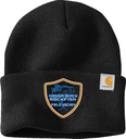 VB Rockfish Carhartt Watch Cap 2.0